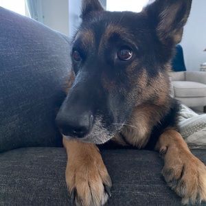 Meet your Posher, Maddie